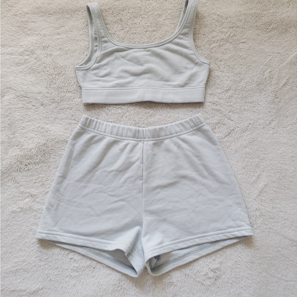 Aritzia Blue Sleeveless Fitted Crop Tank Top